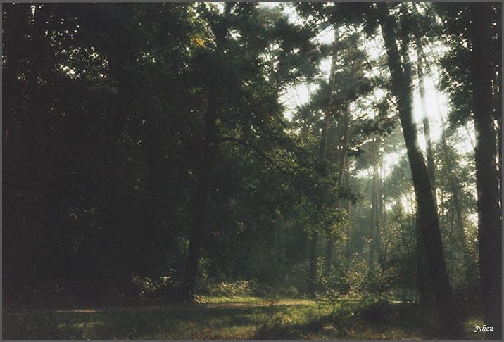 3_16_1994_Forêt_Rambouillet